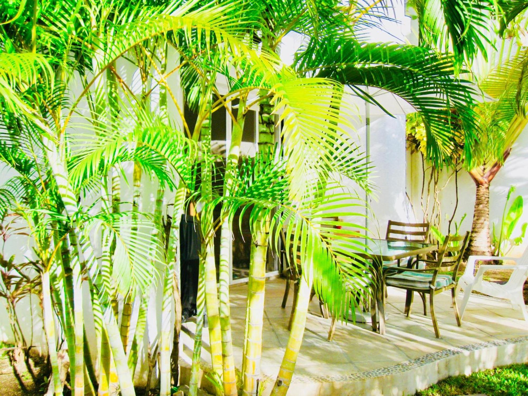 Deluxe Budget Balcony With Swimming Pool Air Conditioning And Parking Pensión