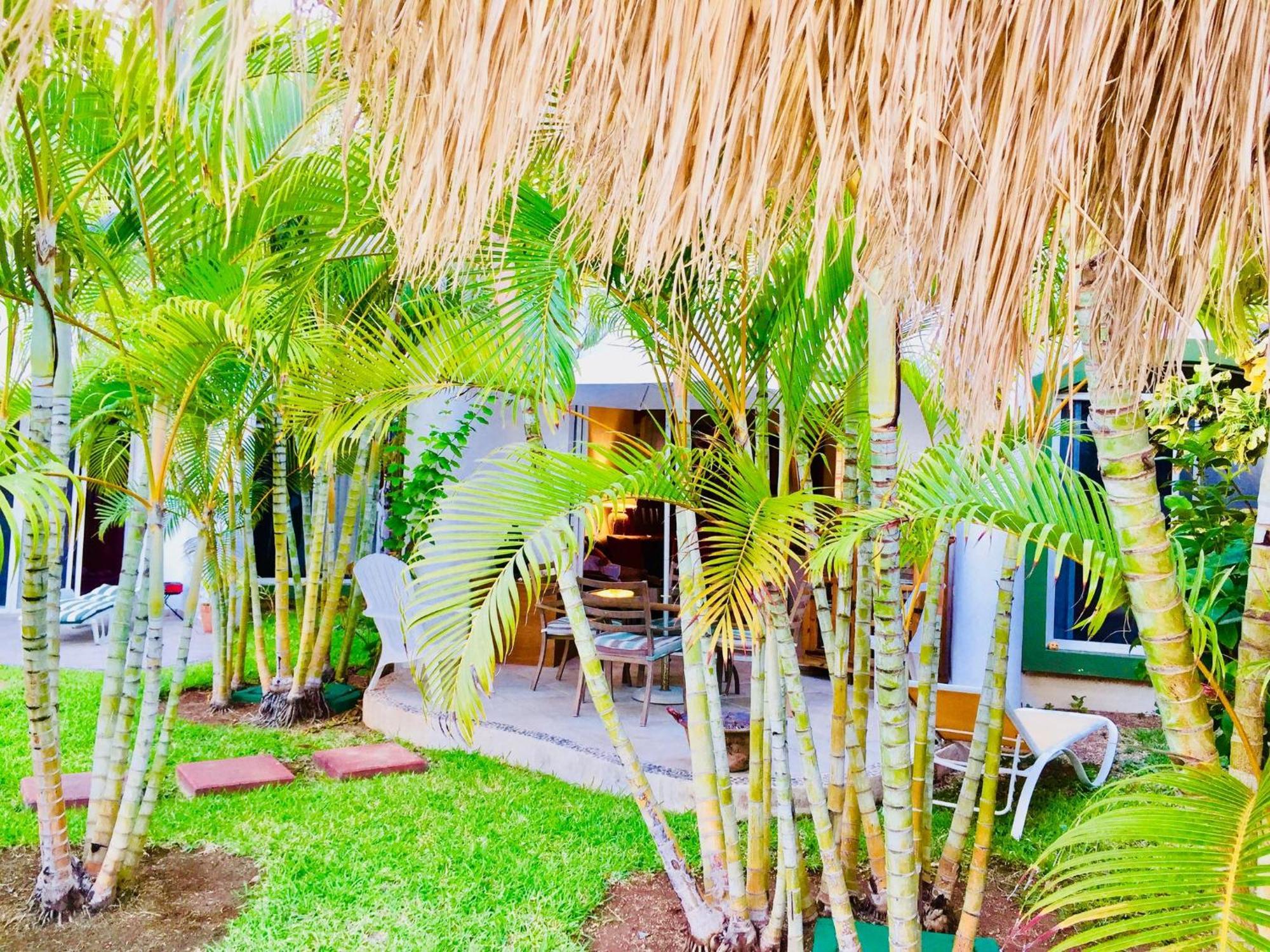 Pensión Deluxe Budget Balcony With Swimming Pool Air Conditioning And Parking