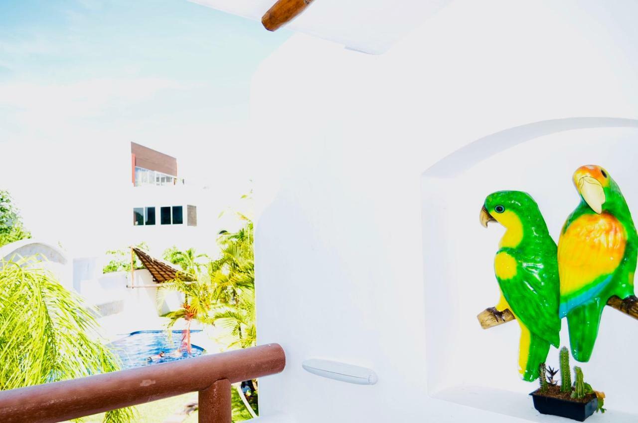 Deluxe Budget Balcony With Swimming Pool Air Conditioning And Parking Pensión